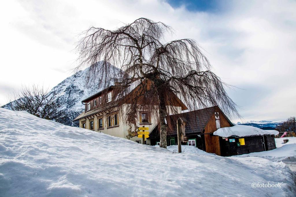 Gasthof Dachsteinblick Stainach 외부 사진